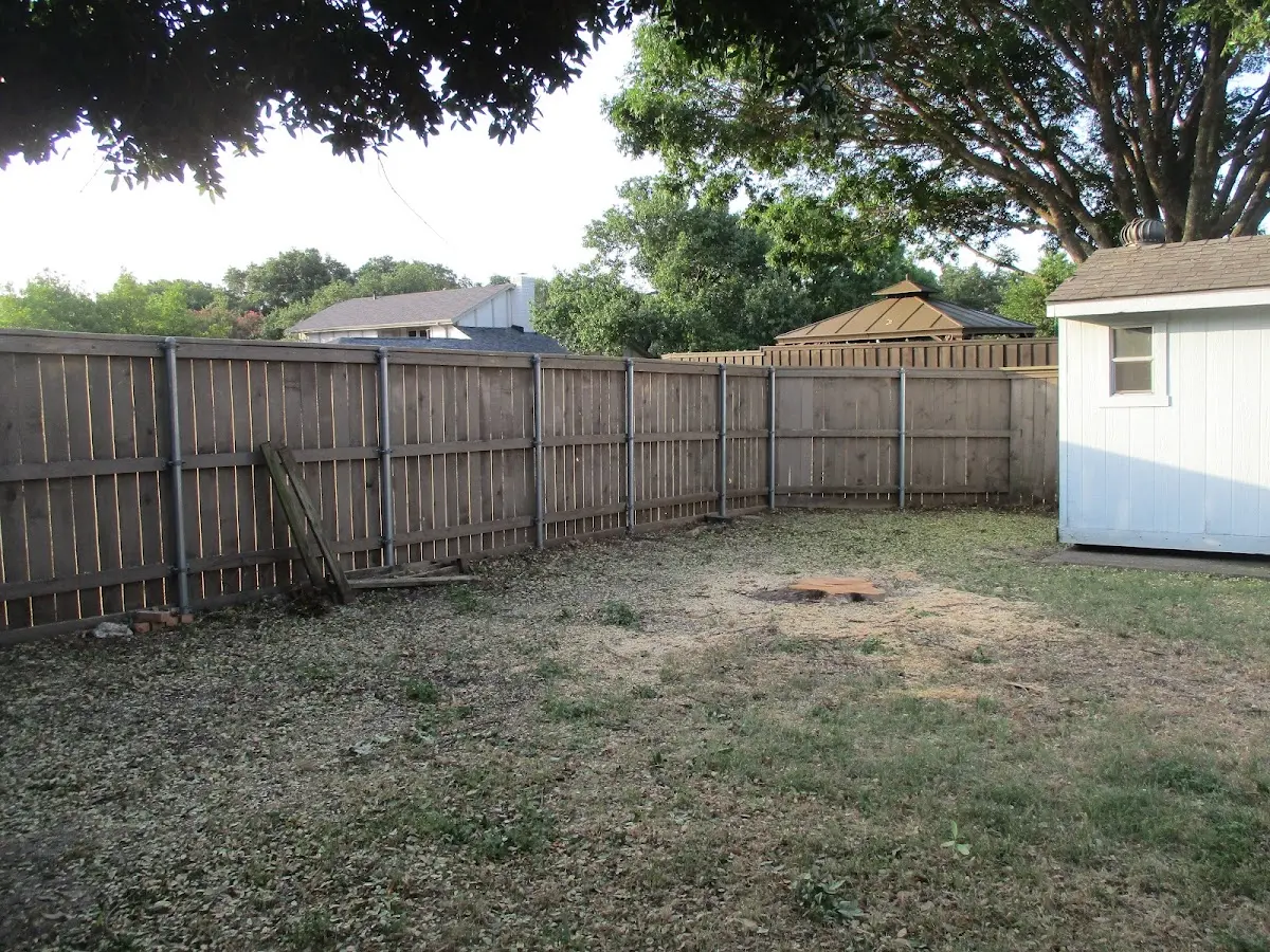 Cleared yard after professional tree removal in Valley View